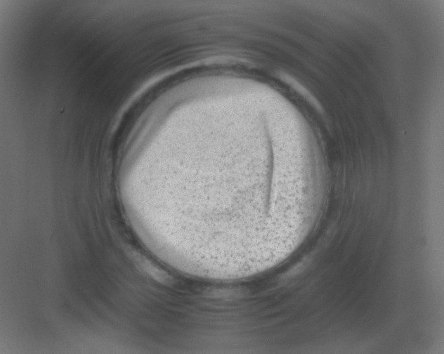 X0000081351021200702082249