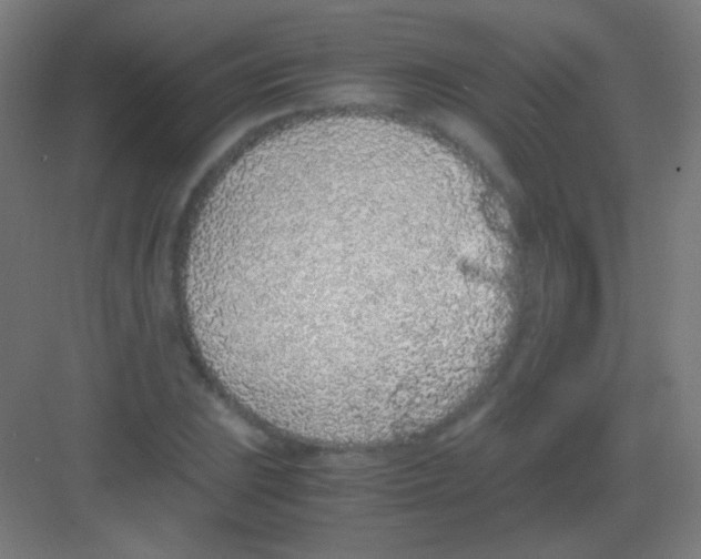 X0000081351023200702082249