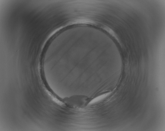 X0000081351024200702082249