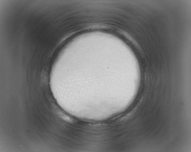 X0000081351025200702082249