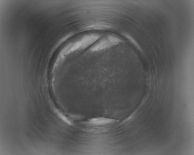 X0000081351026200702082249