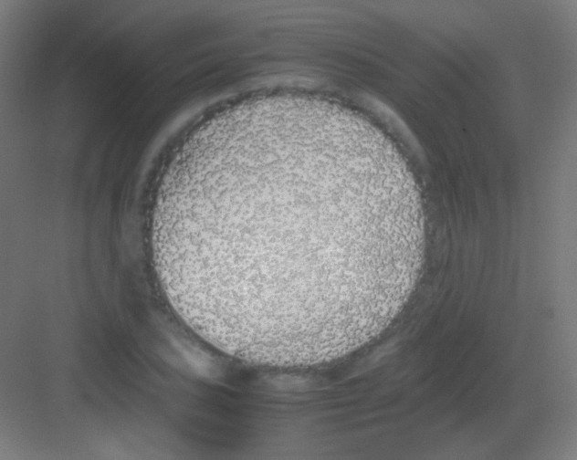 X0000081351027200702082249