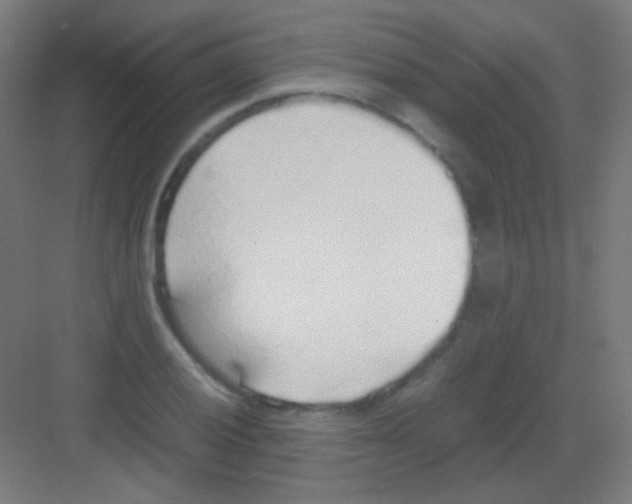 X0000081351028200702082249