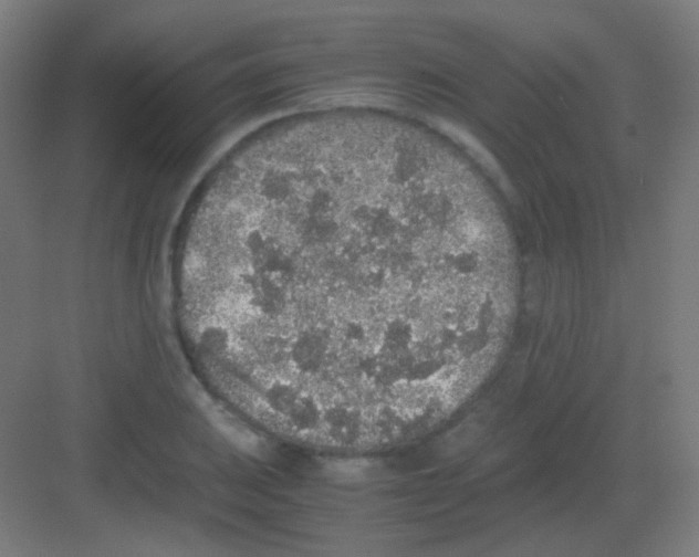 X0000081351031200702082249