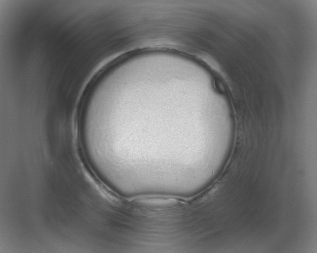 X0000081351032200702082249