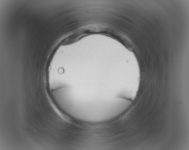 X0000081351034200702082249