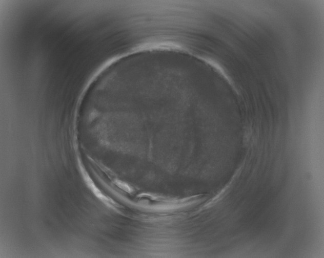 X0000081351038200702082249