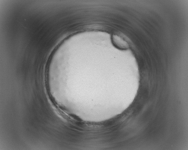 X0000081351039200702082249