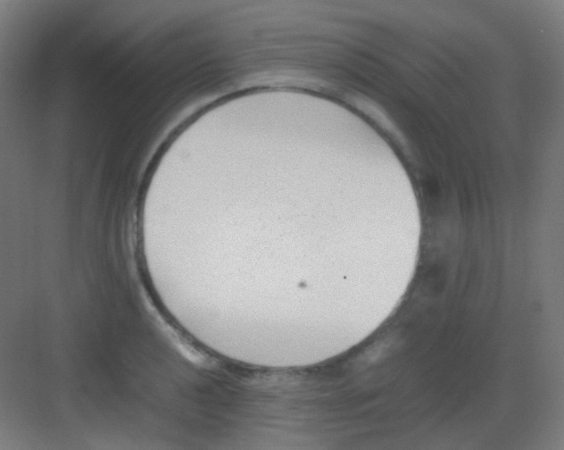 X0000081351040200702082249