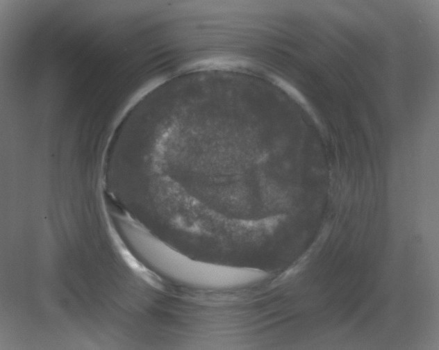 X0000081351042200702082249