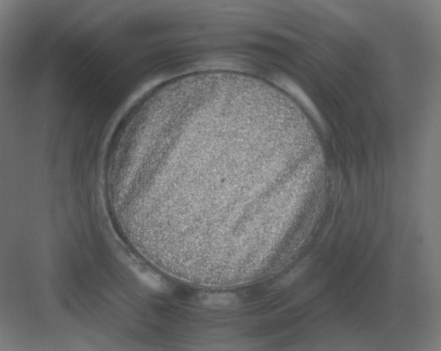 X0000081351043200702082249