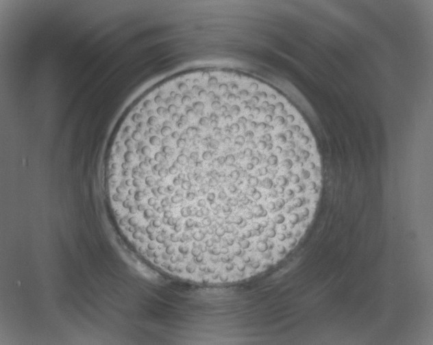 X0000081351044200702082249