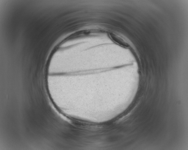 X0000081351045200702082249