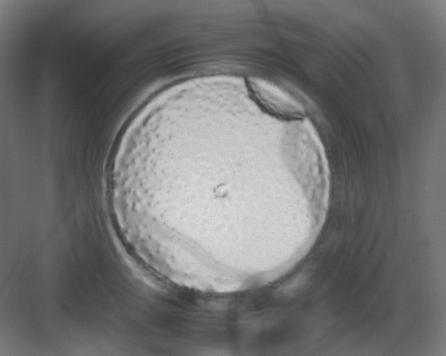 X0000081351047200702082249