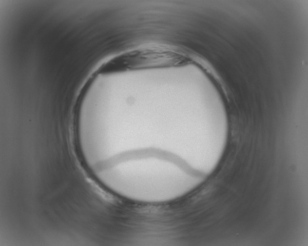 X0000081351048200702082249