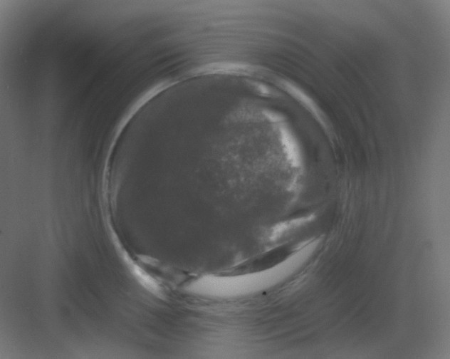 X0000081351050200702082249