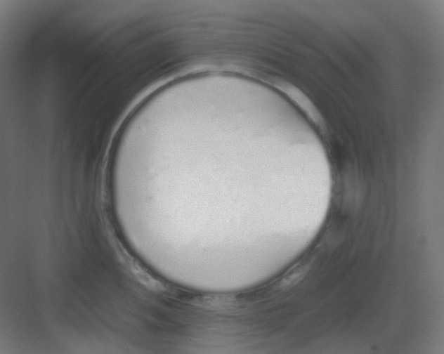 X0000081351052200702082249