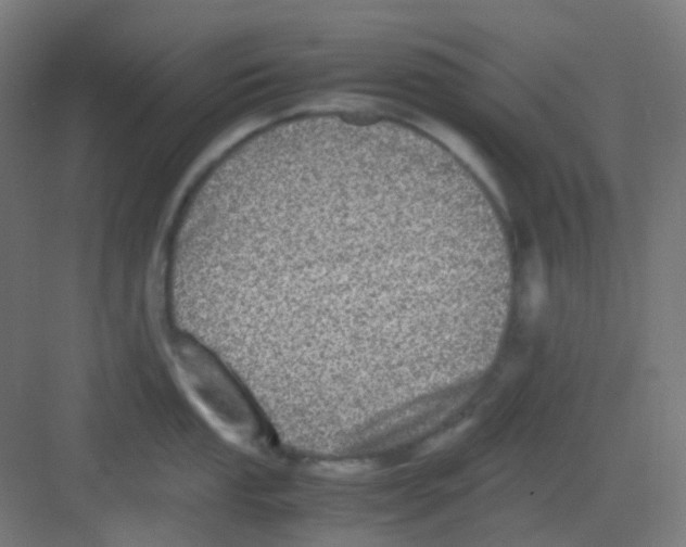 X0000081351053200702082249