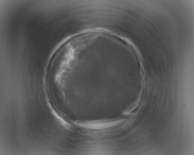 X0000081351054200702082249