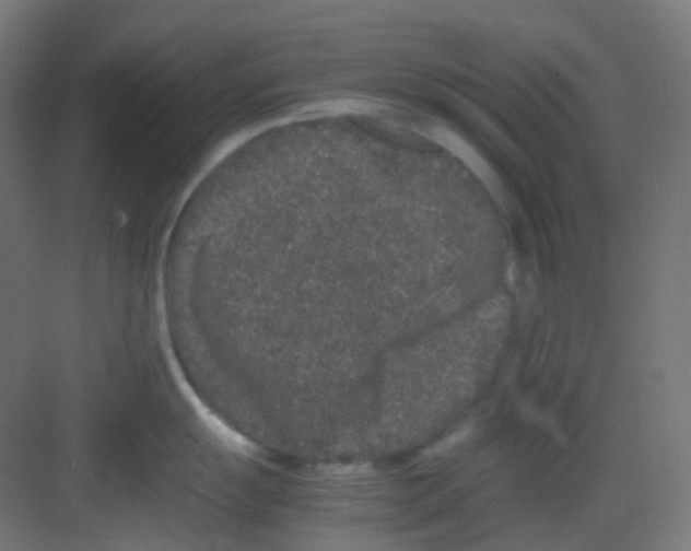 X0000081351055200702082249