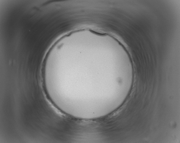 X0000081351056200702082249