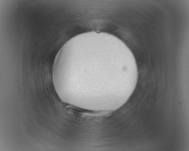 X0000081351058200702082249