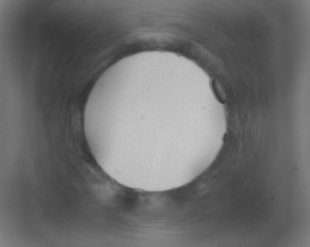 X0000081351061200702082249