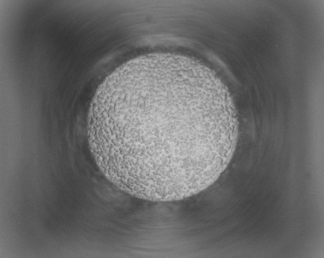 X0000081351063200702082249