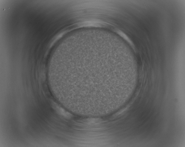 X0000081351067200702082248