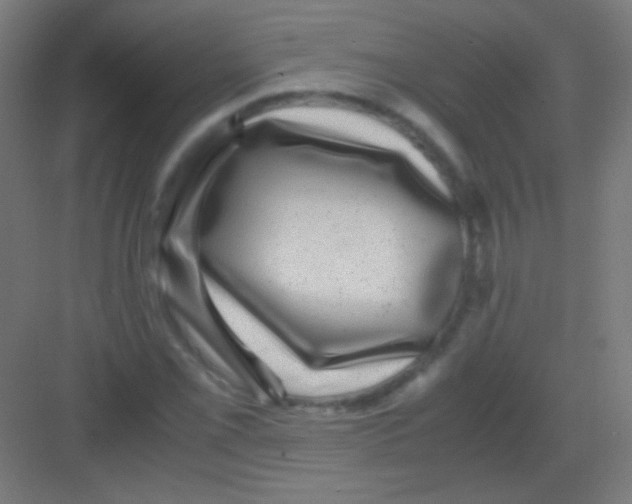 X0000081351069200702082248