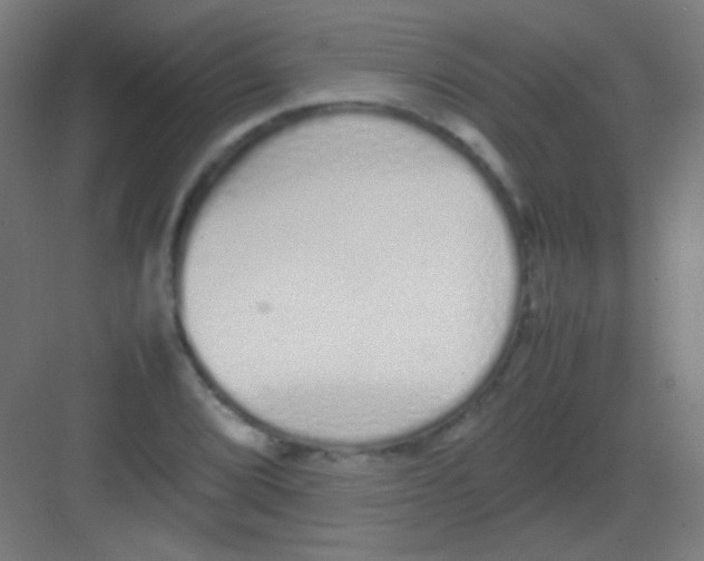 X0000081351072200702082248