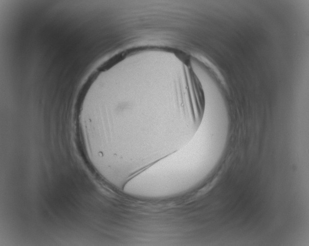 X0000081351077200702082248