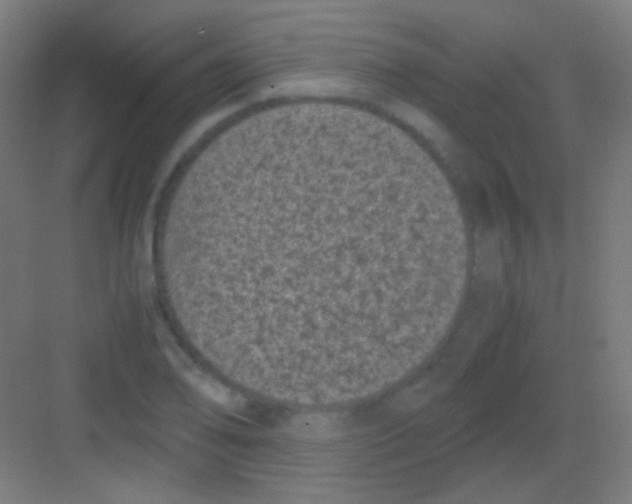 X0000081351078200702082248