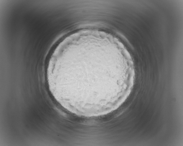 X0000081351079200702082248