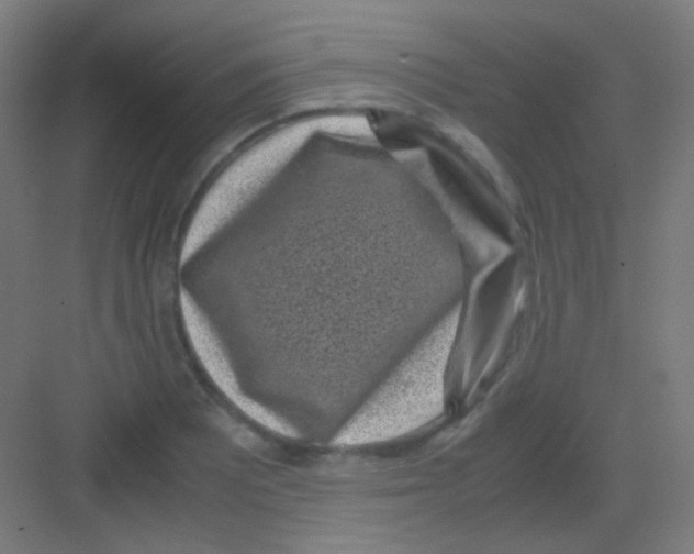 X0000081351081200702082248