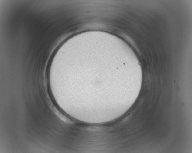 X0000081351082200702082248