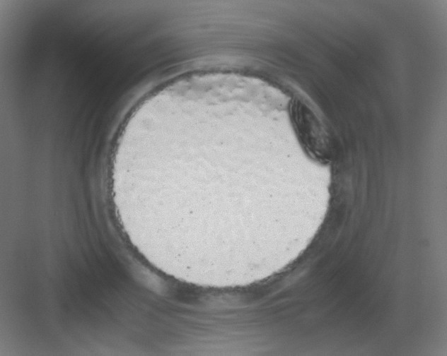 X0000081351083200702082248