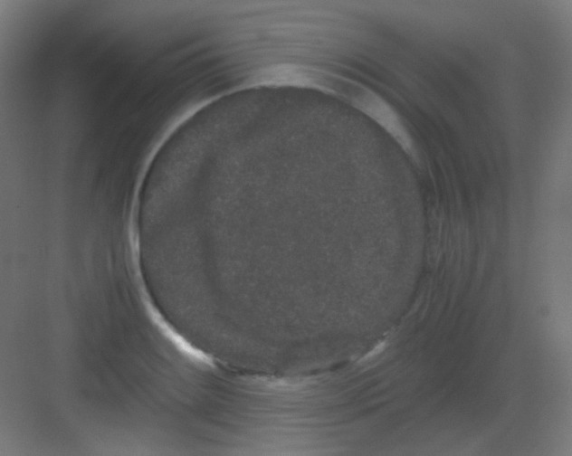 X0000081351084200702082248