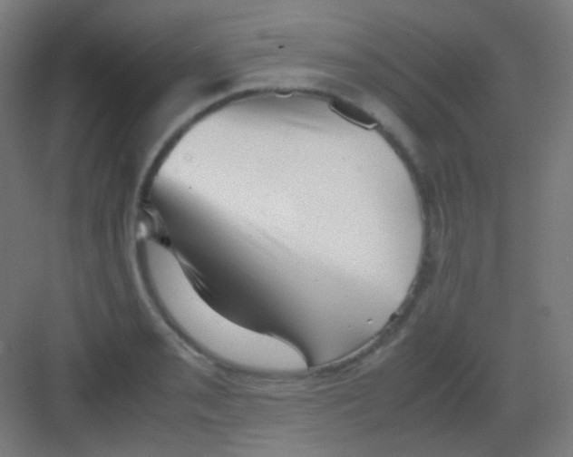 X0000081351085200702082248