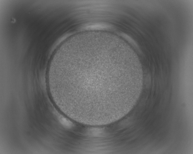 X0000081351086200702082248