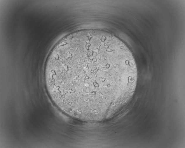 X0000081351087200702082248