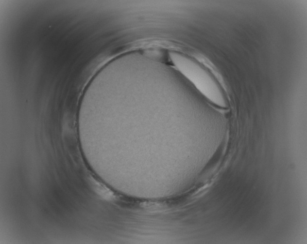 X0000081351089200702082248