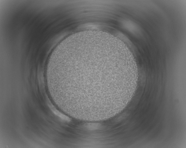 X0000081351090200702082248