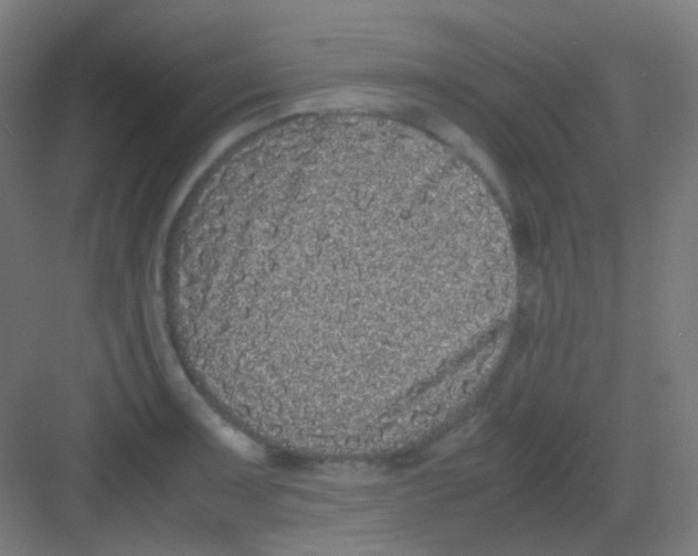 X0000081351091200702082248