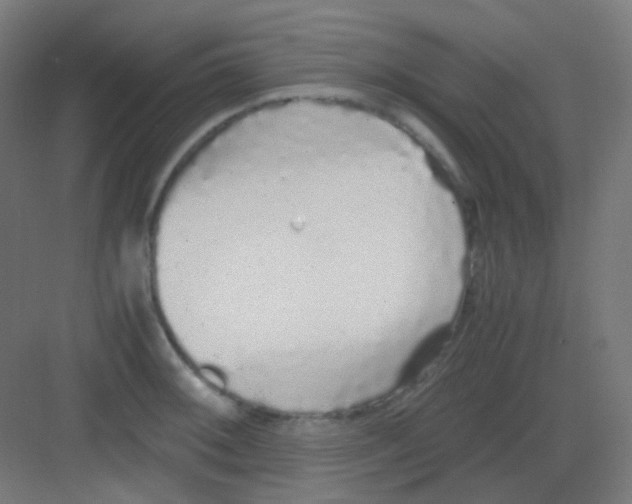 X0000081351092200702082248