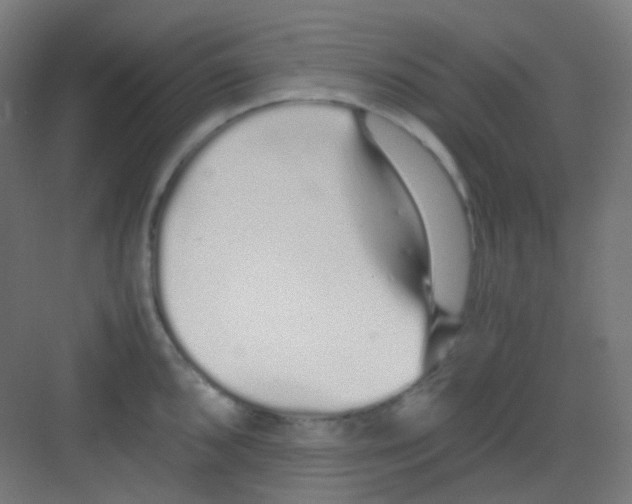 X0000081351096200702082248