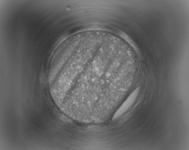 X0000081351097200702082248