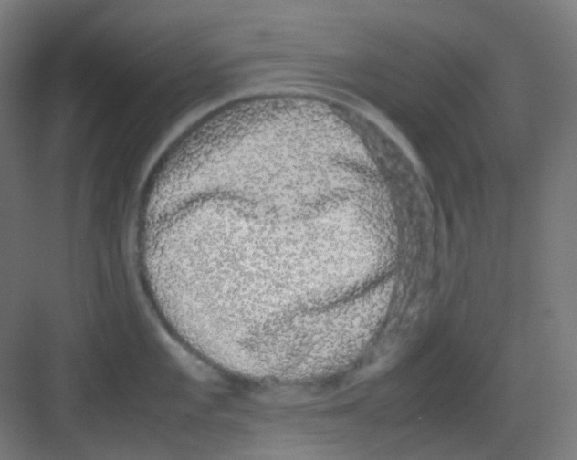 X0000081351101200702082248