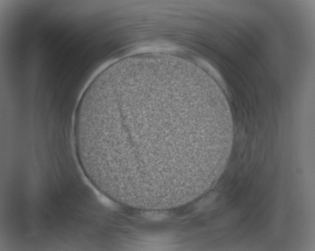 X0000081351103200702082248