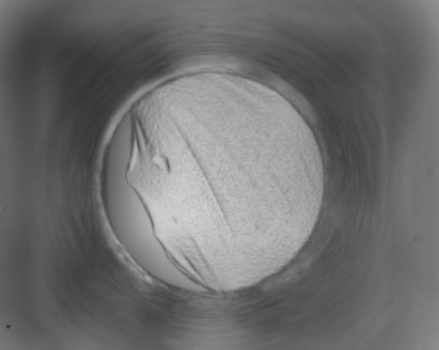 X0000081351104200702082248